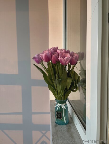 Riveraemmaa best star galleries