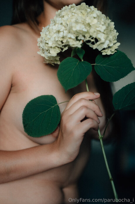 Parubocha I model image