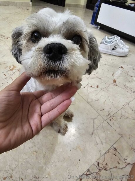 Jessiejaye69 sexy pornstar pictures