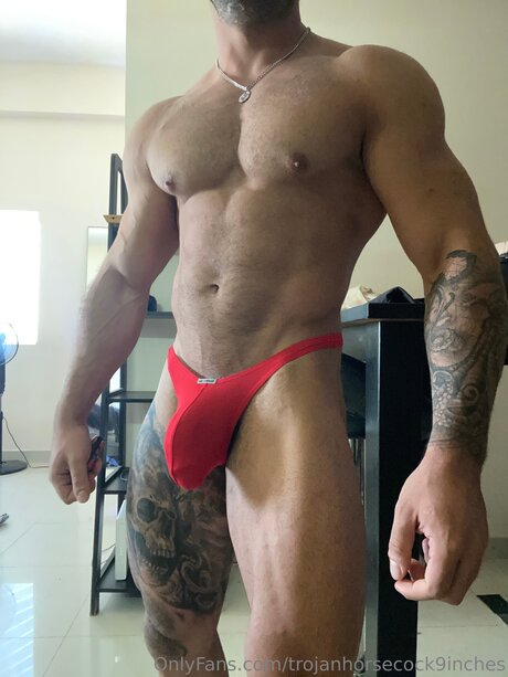 Trojanhorsecock9inches nice star galleries