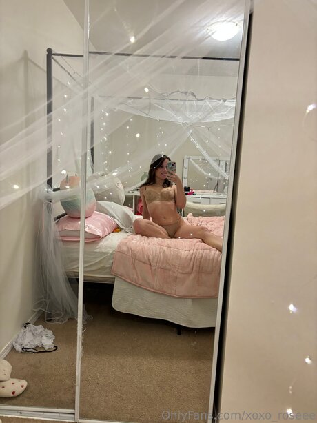 Xoxo Roseee porn star archive