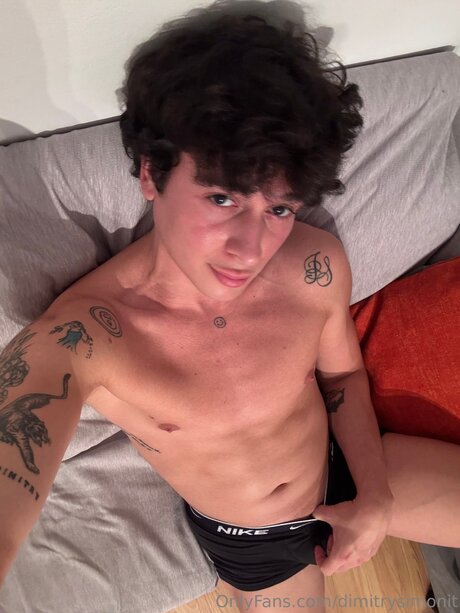 Dimitrysimonit model top archive