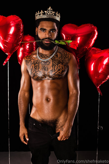 Shefreaketo star nude img