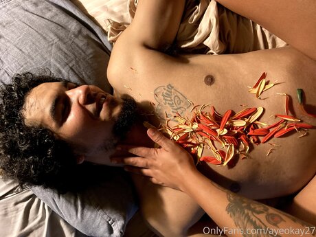 Ayeokay27 star best photos