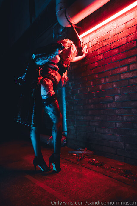 Candicemorningstar sexy actress gallery