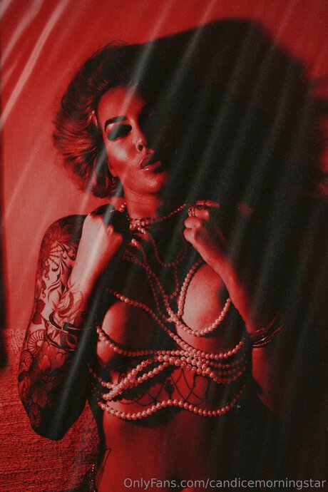 Candicemorningstar pornstar hot photo