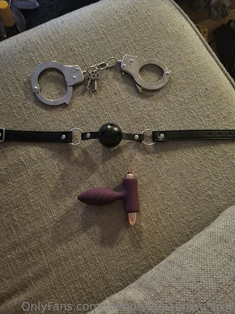 Thenorwegianrose Free pornstar art gallery