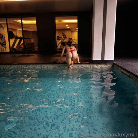 Luxymin art star galleries