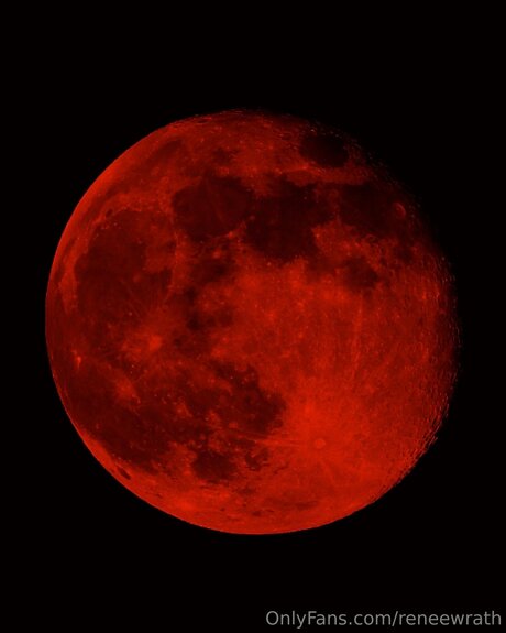 Reneewrath top pornstar images