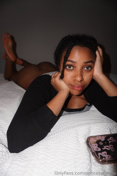 Princesatendai art model picture