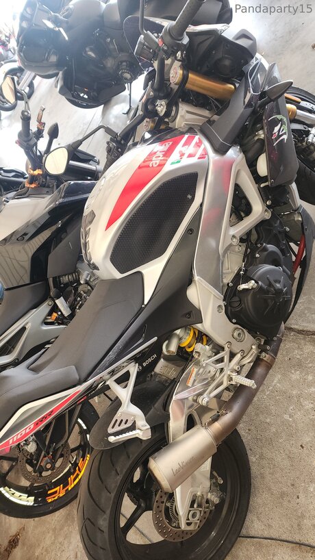 Pandaparty15 naked star pic