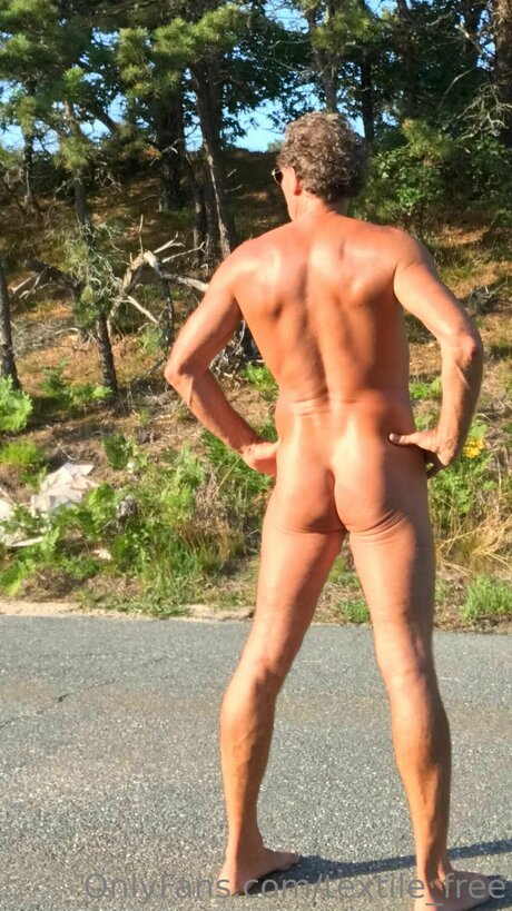 Textile Free nice star archive