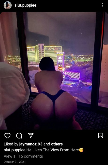 Slut Puppie pornstar best img