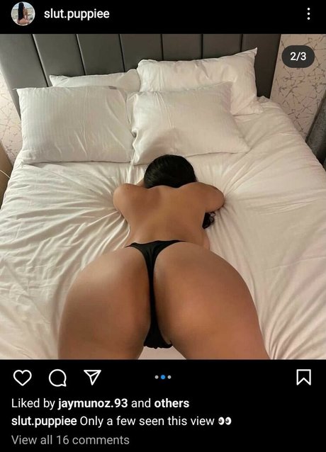 Slut Puppie high quality model galleries