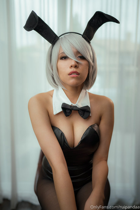 Ruipandaa high quality pornstar pictures