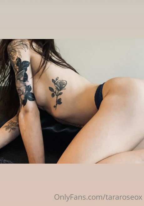 Tara Rose_ sex actress images