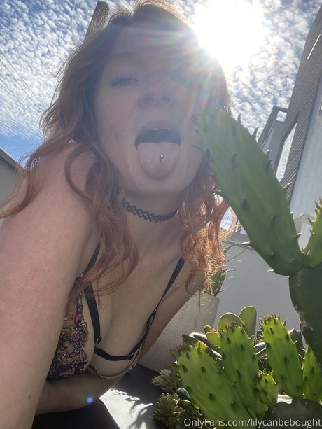 lily ana Profile pic