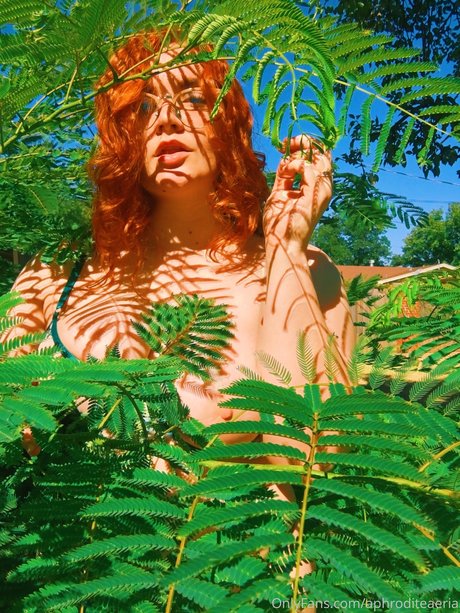 Allisonivyx model hd images