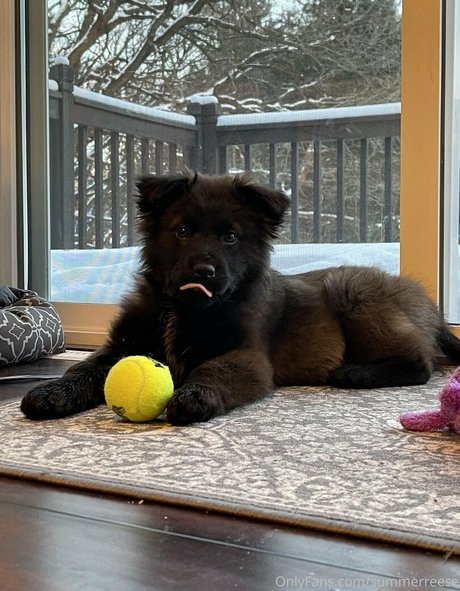 Summerreese art actress pic