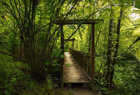 Emily O dette top star picture