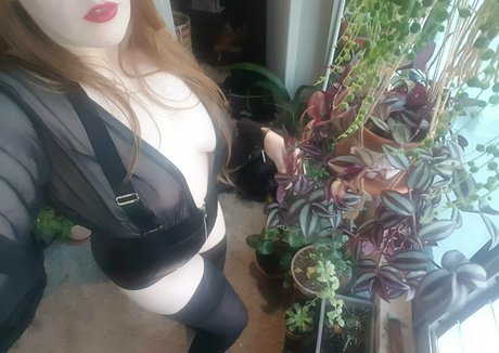 anabalfe porn star archive