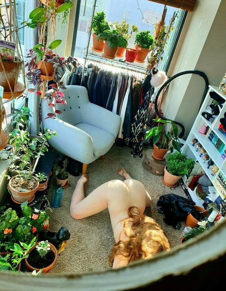 anabalfe pornstar exclusive img