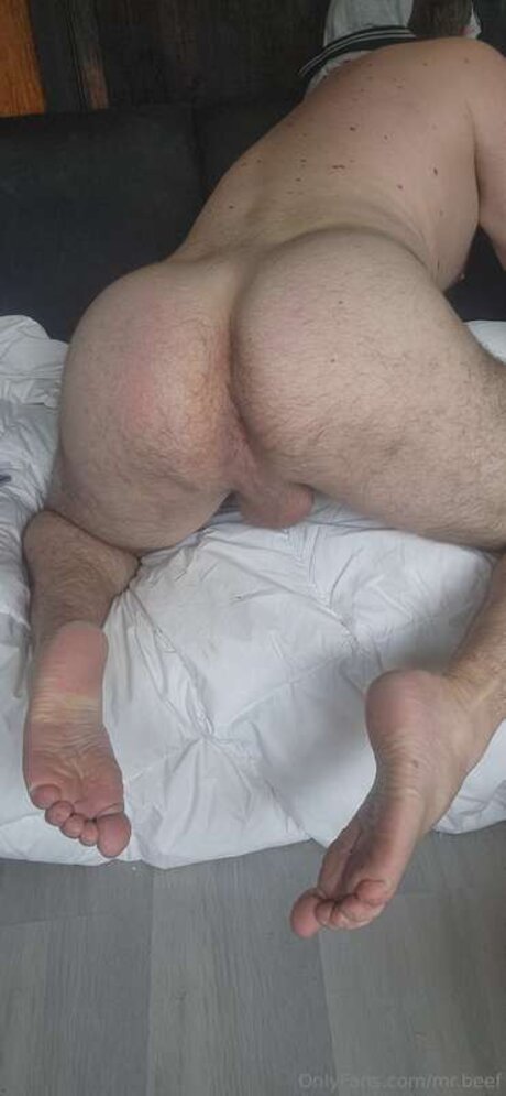 Mr Beef pretty pornstar photos