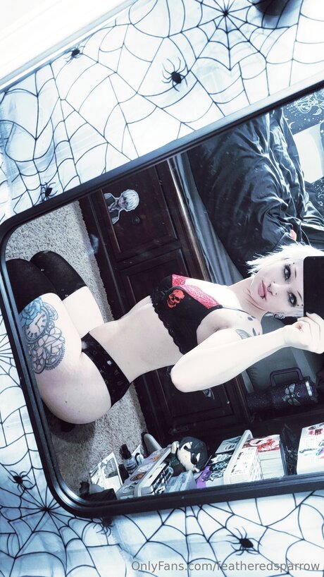 Featheredsparrow pretty star photos