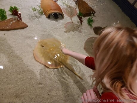 Ameliaablossom pretty pornstar pics