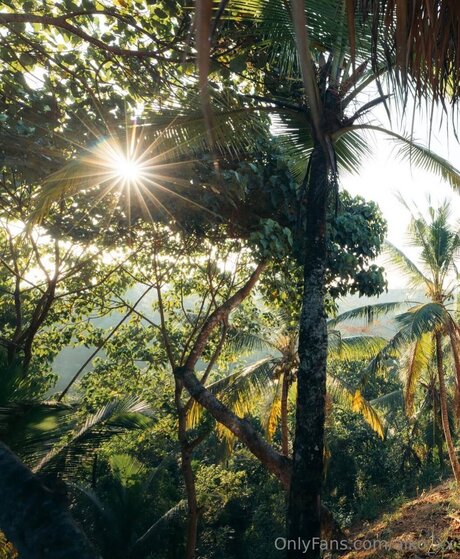 Aiko Xx nudes star pictures