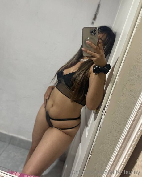 Anto Bunny free pornstar archive