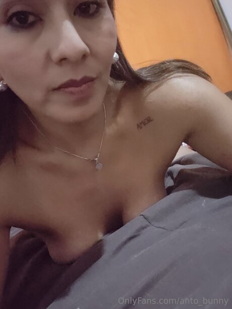 Anto Bunny top pornstar photo