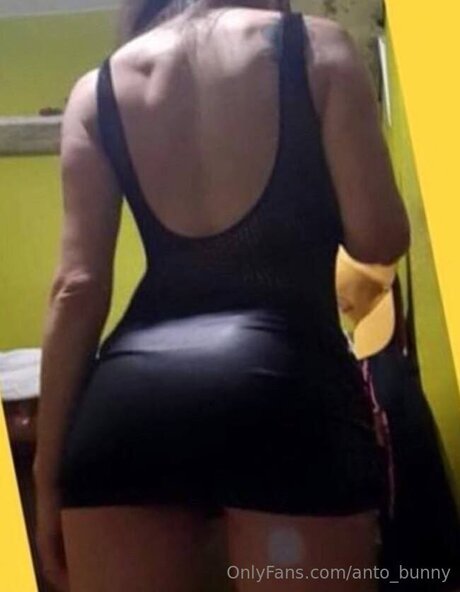 Anto Bunny Profile pic