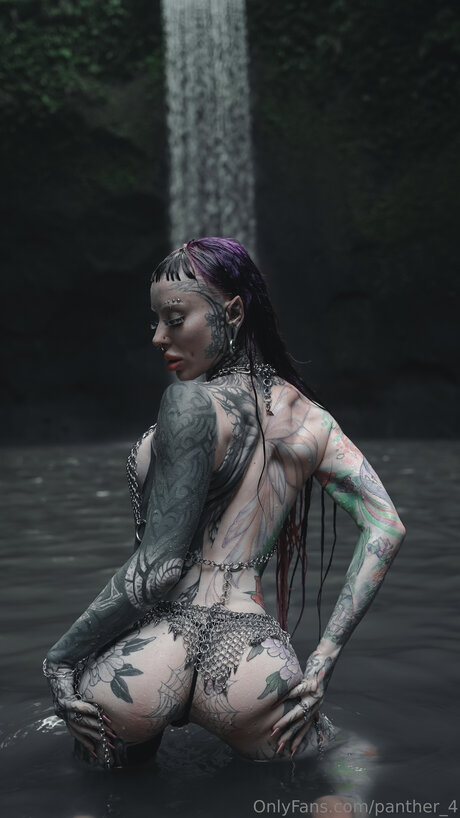 Panther 4 model hd archive