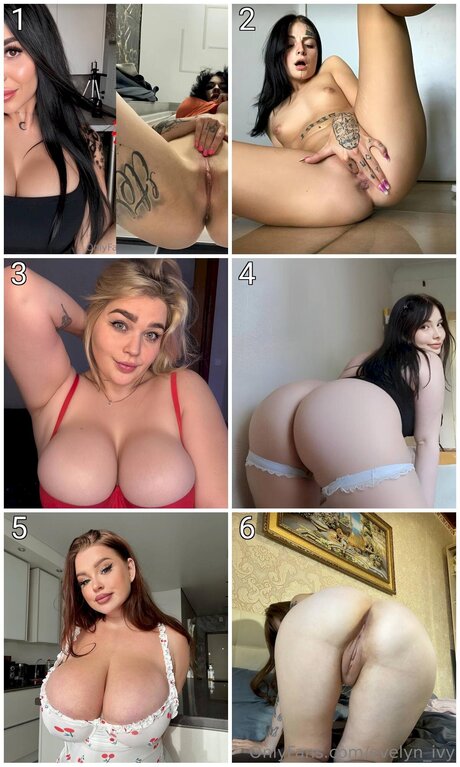 Evelyn Ivy pornstar best galleries