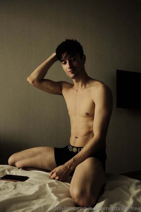 Adreamofdavid Free xxx pornstar galleries