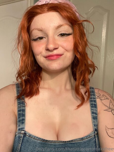 Thatlittlecarrotcakefree art star img