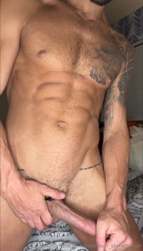 Professor Stonehaven pornstar nudes photo