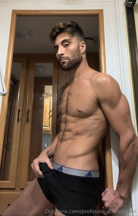 Professor Stonehaven beautiful pornstar photos