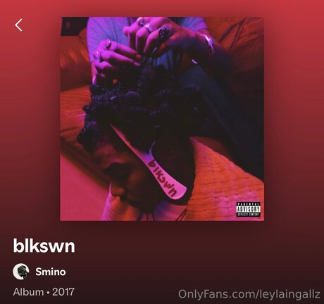 Leylaingallz star hd archive