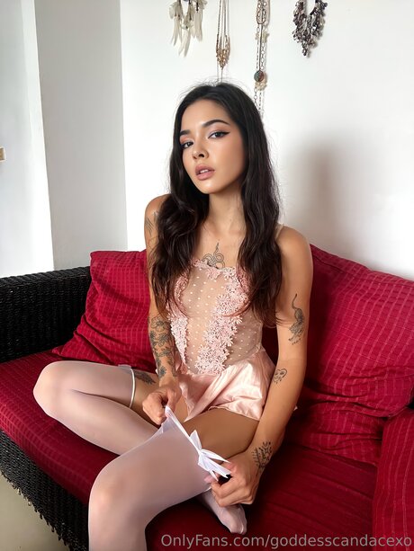 Goddesscandacexo adult model pictures