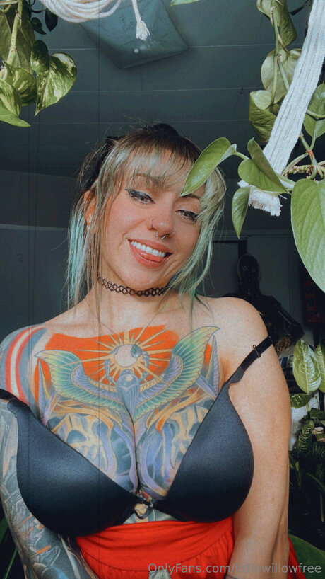 Littlewillowfree model best archive