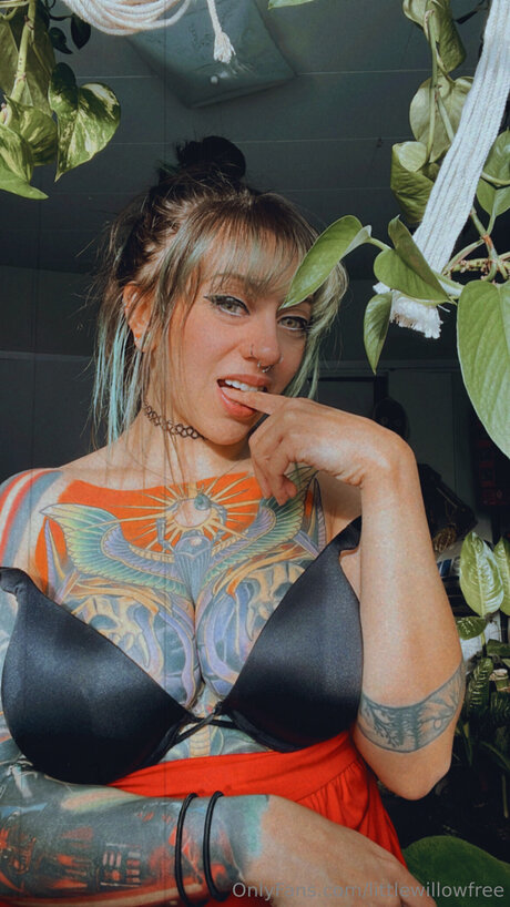 Littlewillowfree star best pics