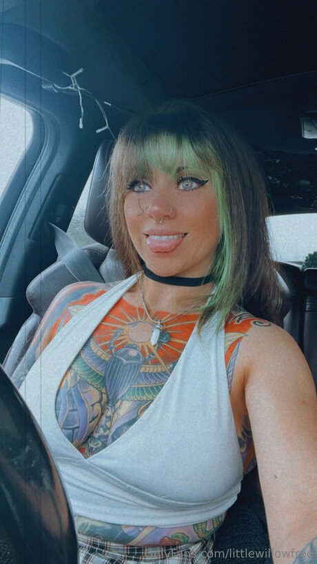 Littlewillowfree hd model archive