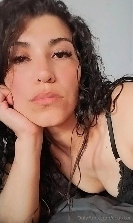 Ccataxx star erotic archive