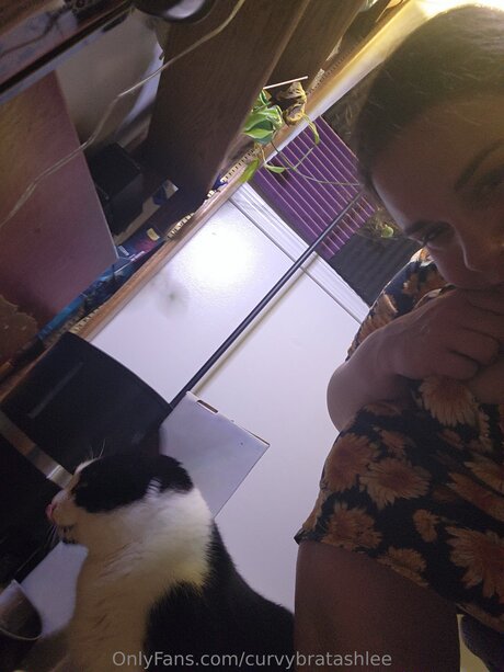 Curvybratashlee xxx pornstar pics