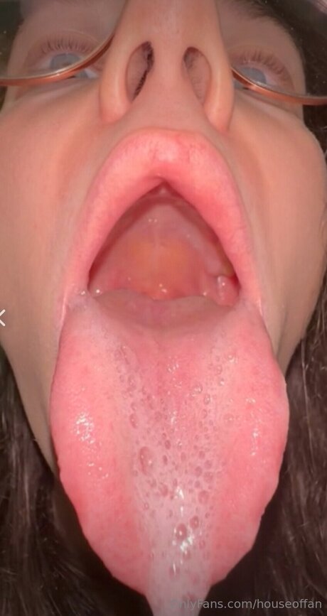 Houseoffan best star pics