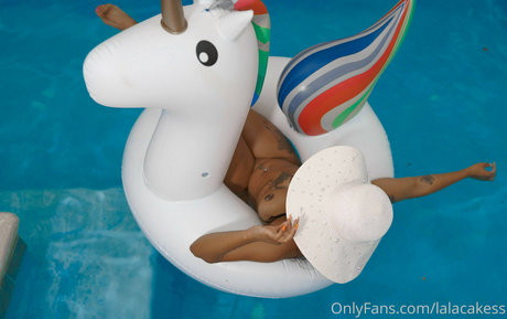 lalacakes star nice photos