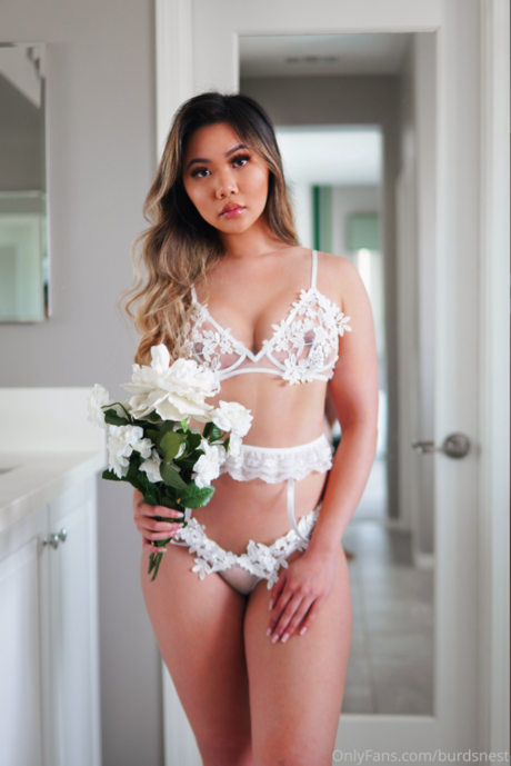 burdsnest porn actress picture