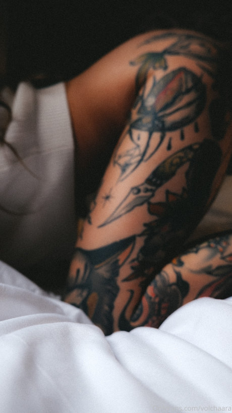 _volchara xxx pornstar picture